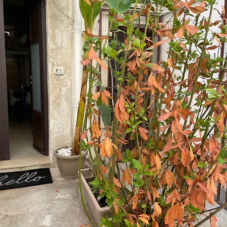 Casa Core Syracuse