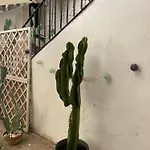 Casa Core *